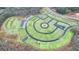 Aerial view showcasing the community layout with walking trails and green spaces at 297 Sound Cir, Stockbridge, GA 30281