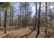 Wooded backyard with a fenced perimeter at 1000 Leadenhall St, Alpharetta, GA 30022