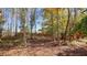 Wooded backyard providing a private, natural setting at 607 Emma Way, Temple, GA 30179