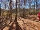 Wooded backyard with a red deck and pine straw ground cover at 4299 High Country Dr, Douglasville, GA 30135