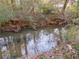 Calm creek reflecting trees and sky at 1974 Ellwyn Dr, Brookhaven, GA 30341