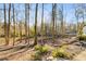 Wooded lot with natural landscaping at 1974 Ellwyn Dr, Brookhaven, GA 30341