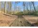 Pathway through a wooded area at 1974 Ellwyn Dr, Brookhaven, GA 30341