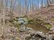 Scenic view of a creek with mossy rocks, surrounded by lush trees and natural beauty at 2109 Rocky Falls Nw Ct, Kennesaw, GA 30152