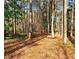 A nature trail winds through a forest of trees with sun-dappled ground provides a serene environment at 3414 Alcan Way, Tucker, GA 30084