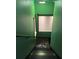 Basement stairs with green painted walls at 234 Lake Ruby Dr, Suwanee, GA 30024