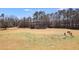 Aerial view showing a large field with three small horses at 446 Mcgukin Rd, Bremen, GA 30110