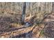 Serene creek running through wooded property at 446 Mcgukin Rd, Bremen, GA 30110