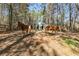 Three horses graze in a fenced pasture with sheds at 446 Mcgukin Rd, Bremen, GA 30110