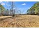 Large open field with mature trees in background at 446 Mcgukin Rd, Bremen, GA 30110