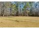 Large open field with mature trees in background at 446 Mcgukin Rd, Bremen, GA 30110