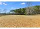 Large open field with mature trees in background at 446 Mcgukin Rd, Bremen, GA 30110