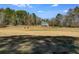 Spacious pasture with horses and a house in the background at 446 Mcgukin Rd, Bremen, GA 30110