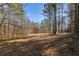 Wooded area with mature trees and leaf-covered ground at 446 Mcgukin Rd, Bremen, GA 30110