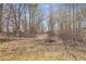 Wooded area with a path leading into the trees at 446 Mcgukin Rd, Bremen, GA 30110