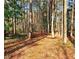 Montreal Park features a walking trail surrounded by trees at 3448 Montreal Way, Tucker, GA 30084