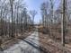 Long driveway leading to the house through woods at 255 Marks Way, Canton, GA 30115