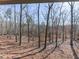 Wooded, serene view of the surrounding forest from the home at 255 Marks Way, Canton, GA 30115