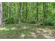 Large wooded backyard with a birdbath and serene scenery, the perfect outdoor space to relax and enjoy at 4259 Arbor Club Dr, Marietta, GA 30066
