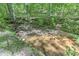 Backyard creek surrounded by greenery offering a peaceful ambiance to enjoy nature at 4259 Arbor Club Dr, Marietta, GA 30066