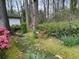 Wooded backyard with azaleas and lush greenery at 75 Azalea Trl, Carrollton, GA 30116