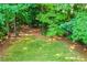 Lush backyard showcasing a grassy lawn surrounded by mature trees offering lots of shade at 2548 Brentmoor Ct, Suwanee, GA 30024