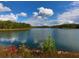 Scenic lake view with fall foliage and a bright sky at 217 Towering Peaks, Canton, GA 30114