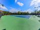 Two well-maintained tennis courts at 217 Towering Peaks, Canton, GA 30114