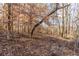 Wooded area behind the house with leaf-covered ground at 2698 George Nw St, Atlanta, GA 30318