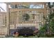 Elegant fountain with lion head detail, stone accents, and surrounding greenery at 6 Arden Moor Nw, Atlanta, GA 30305