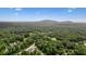 A breathtaking aerial view capturing the property's expansive wooded surroundings and serene lake at 100 Chateau Pl, Woodstock, GA 30188