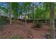 Wooded backyard with sloped terrain at 561 Congress Pkwy, Lawrenceville, GA 30044