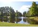 Pond reflects trees on the water's edge on a sunny day at 2224 Snug Ne Hbr, Marietta, GA 30066