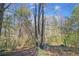 Forested backyard with many trees at 1381 Allgood Rd, Marietta, GA 30062