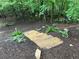 Stone steps lead through mulched backyard with trees, groundcover, and path lighting at 6163 Talmadge Nw Run, Acworth, GA 30101