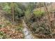 View of a natural stream area with overgrowth located on the property at 3847 Admiral Dr, Chamblee, GA 30341