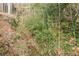 A gentle stream winds through a wooded area, bordered by lush vegetation at 3847 Admiral Dr, Chamblee, GA 30341