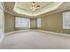 Spacious bedroom with large windows and tray ceiling at 100 Pine Sandy Bank Dr, Canton, GA 30114