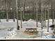 Snowy creek view with Adirondack chairs, fire pit, landscape lighting, and a Sasquatch statue at 775 River Cliff Ct, Suwanee, GA 30024