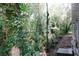 Wooded backyard with lush trees and landscaping at 3301 Cascade Parc Blvd, Atlanta, GA 30311