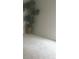 Bright room with neutral carpet and leafy potted plant in the corner at 266 Broder Farms Dr, Stockbridge, GA 30281