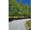 Gravel driveway lined by lush, mature trees leading to the property at 866 Lee Byrd Rd, Loganville, GA 30052
