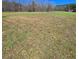 Large grassy area provides space and room at 866 Lee Byrd Rd, Loganville, GA 30052