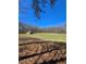 A picturesque view of the property, featuring a large grassy area surrounded by trees, with a blue sky above at 866 Lee Byrd Rd, Loganville, GA 30052