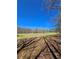 Picturesque acreage features trees under a bright blue sky at 866 Lee Byrd Rd, Loganville, GA 30052
