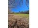 Beautiful acreage with a shed, bordered by mature trees under a clear blue sky at 866 Lee Byrd Rd, Loganville, GA 30052