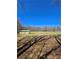 Beautiful grass field with trees and storage building on a sunny day at 866 Lee Byrd Rd, Loganville, GA 30052