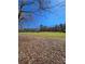Picture of a large yard with a shed in the distance at 866 Lee Byrd Rd, Loganville, GA 30052