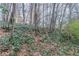 Image shows wooded backyard covered in leaves, greenery, and trees at 1137 2Nd Nw St, Atlanta, GA 30318