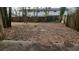 Fenced backyard covered in leaves with plenty of space and mature trees at 3033 Semmes St, Atlanta, GA 30344
